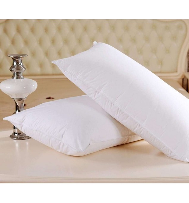 Sleep Expert Microfiber Pillow