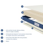 Ultra Luxury 7 Zone Mattress